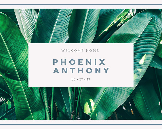 Phoenix