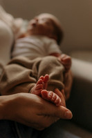 Baby Brooks